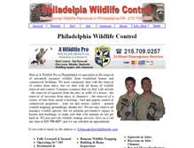 Tablet Screenshot of philadelphiaanimalcontrol.org